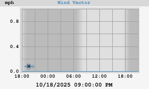 Wind Vector